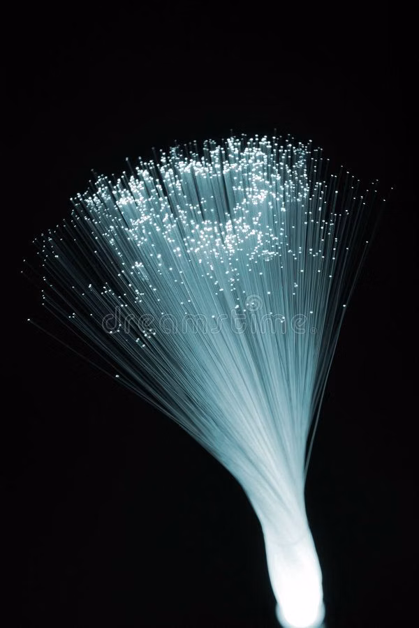 fiber optic strands glowing macro photograph -