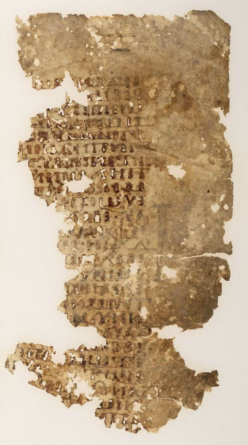 Historical Manuscript Skeuomorphism aesthetic -