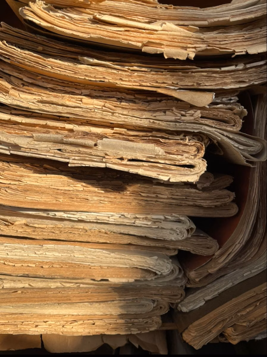 aged parchment fibers manuscript close up photograph - 