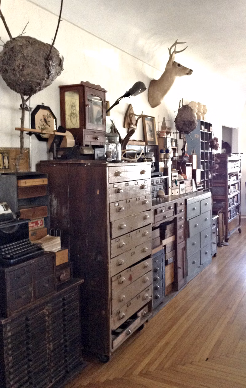 cabinet of curiosities dense collection photograph -