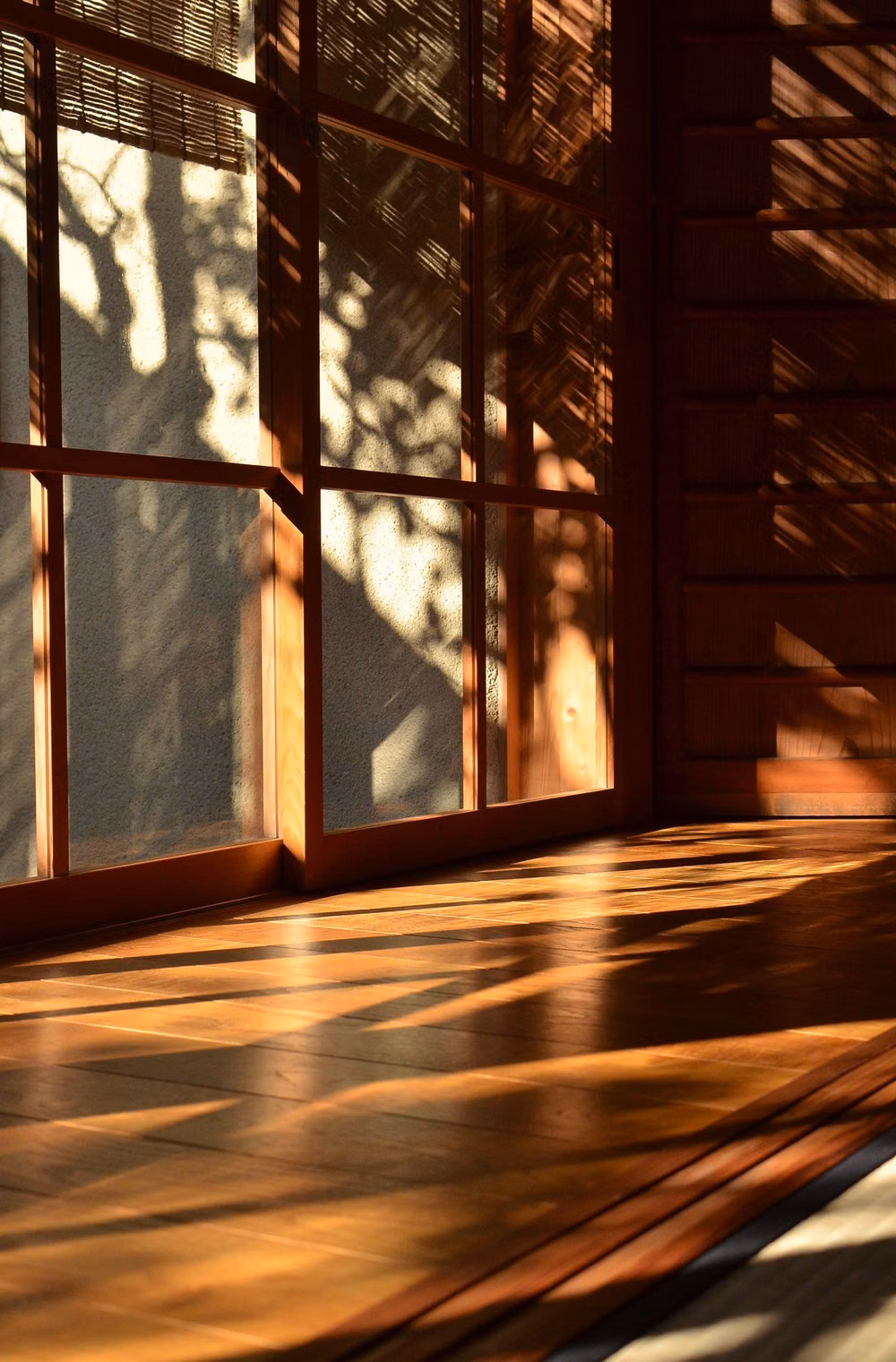 shoji screen sunlight shadow photograph -