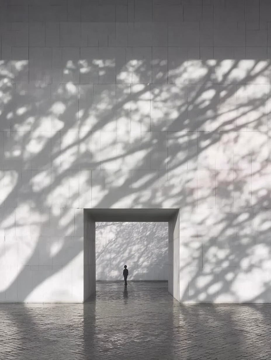 shoji screen sunlight shadow photograph -