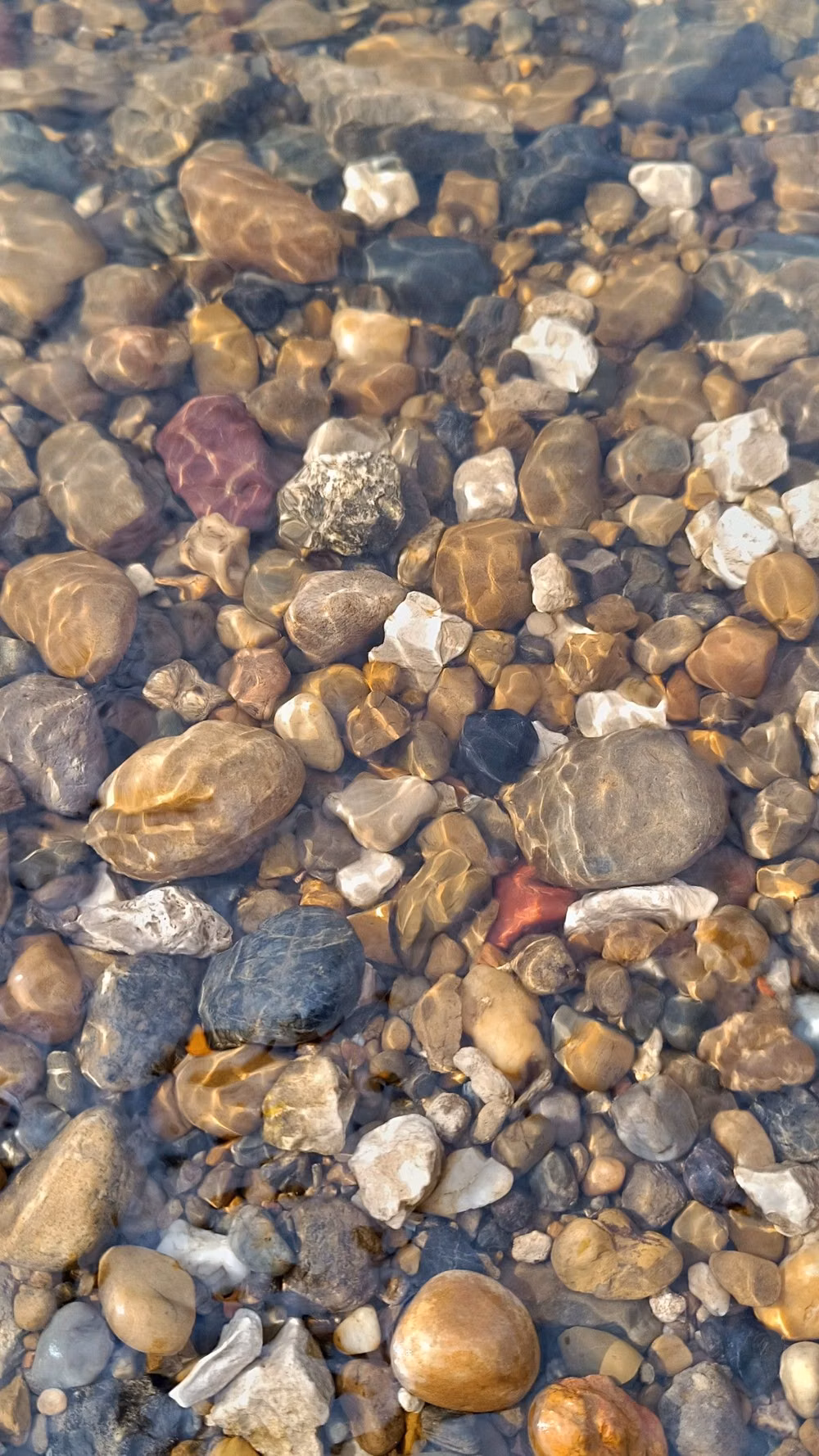 smooth irregular river pebbles overhead photograph -