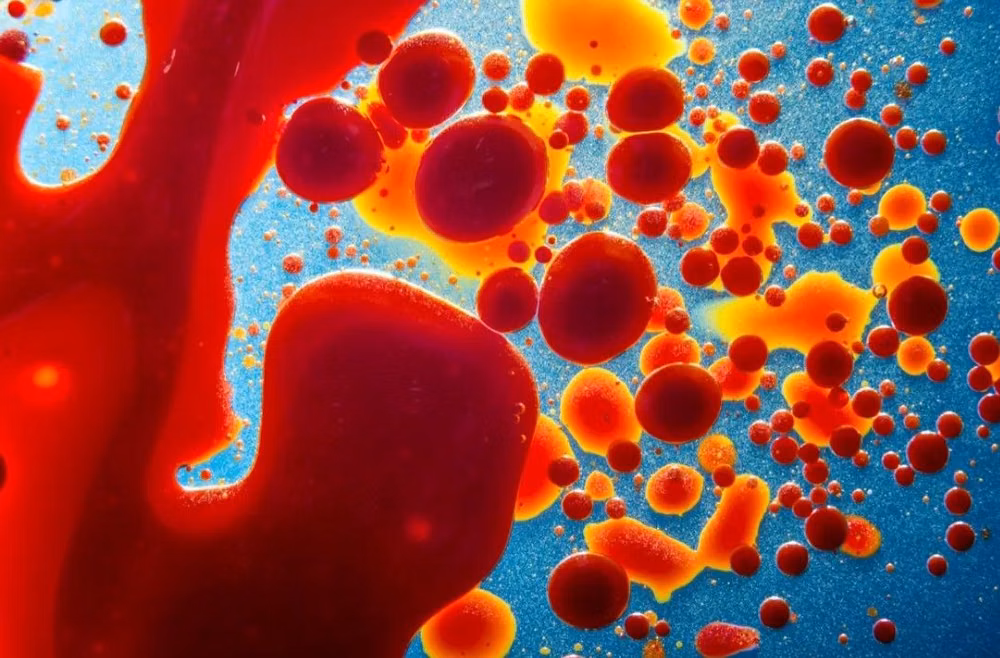 lava lamp bubbles close up photograph -