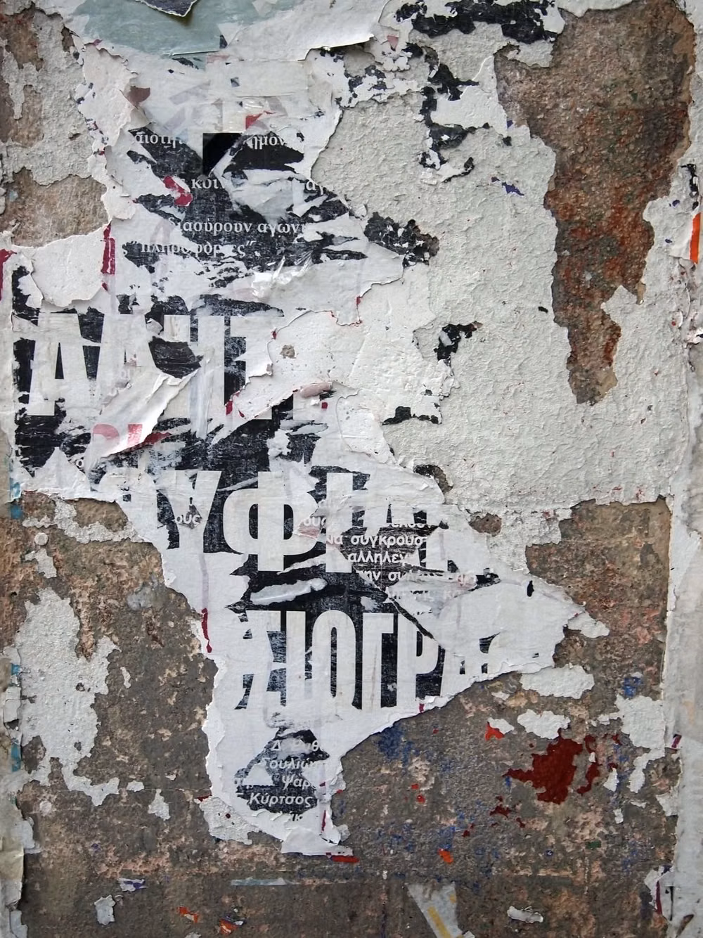torn punk concert flyer wall photograph -