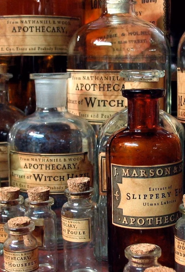 antique apothecary bottles herbs photograph - 