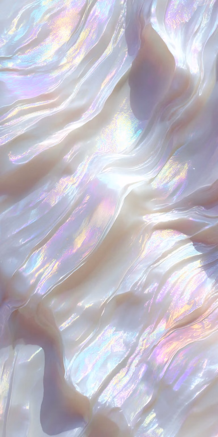 iridescent seashell macro photograph -
