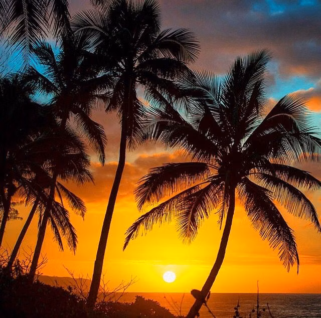 tropical palm against turquoise sky photograph - Sunset, Palm trees, Clark Little, Northshore Oahu, Hawaii relax, sand, destinations, tropical, tropics, warm, ocean, sea, seas, crystal clear water, turquoise blue water, paradise, salt water, salt life, #beaches #islands
