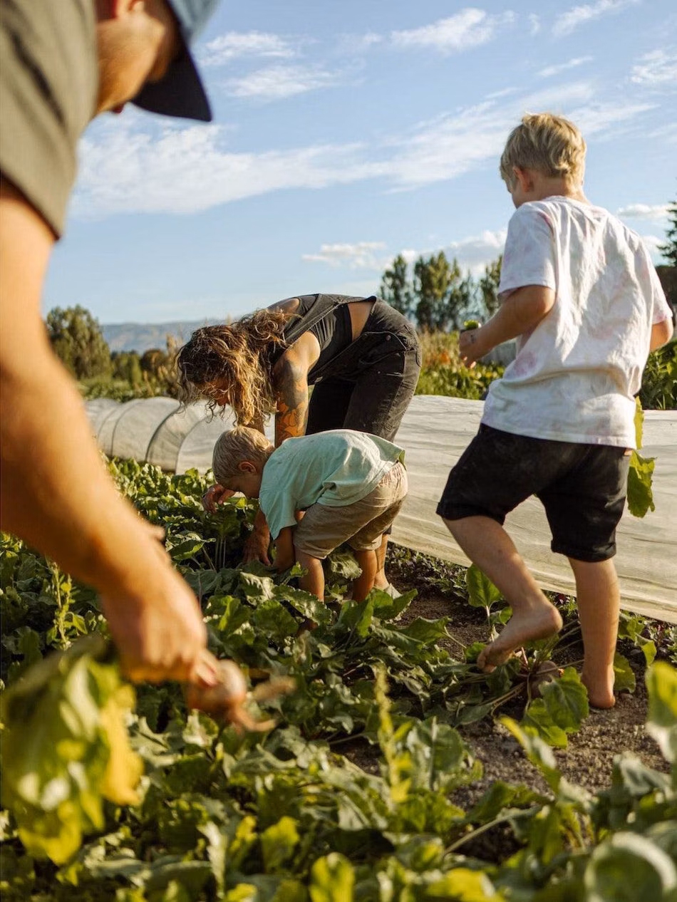 community garden people working photograph - sage journal; a journal for the garden curious. We've just received these beautiful journals in store. A great read this beautifully presented journal is a keeper! Sage is a new annual print publication that celebrates the art of gardening — created with Aotearoa New Zealand and Australian gardeners in mind. Designed as a companion for the garden curious, nature inspired and creatively inclined, each volume explores the intersection of people, plants and place. AVAILABLE IN STORE NOW