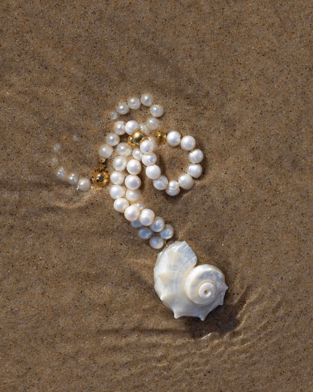 shell necklace beach close up photograph - The Murex necklace is inspired by the beauty of the ocean, featuring a delicate shell pendant combined with elegant details for a timeless coastal look. Perfect for summer days, beach outfits, and vacation style, this necklace brings a natural and sophisticated touch to any look. Whether worn alone or layered with other pieces, the Murex necklace is a must-have for women who love beach-inspired jewelry. Material: Stainless Steel *Waterproof & tarnish resistant *Hypoallergenic *Lightweight and comfortable *Style: Beach / Coastal / Minimalist