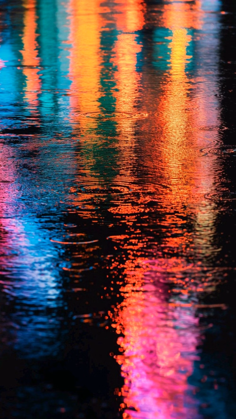 wet highway night neon reflections photograph -