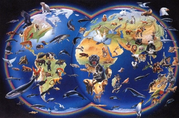 Utopian Scholastic aesthetic - 90s, Utopian Scholastic, Utopian Scholastic aesthetic, Utopian Scholastic artwork