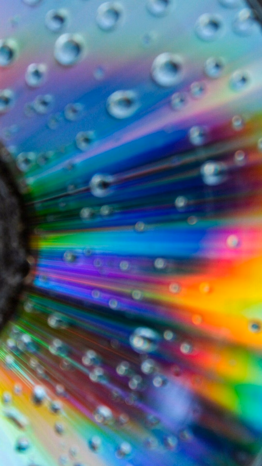 compact disc rainbow reflection macro photograph - Rainbow on disk